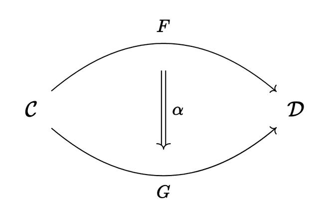 A conceptual diagram of a natural transformation alpha relating functor F to functor G.